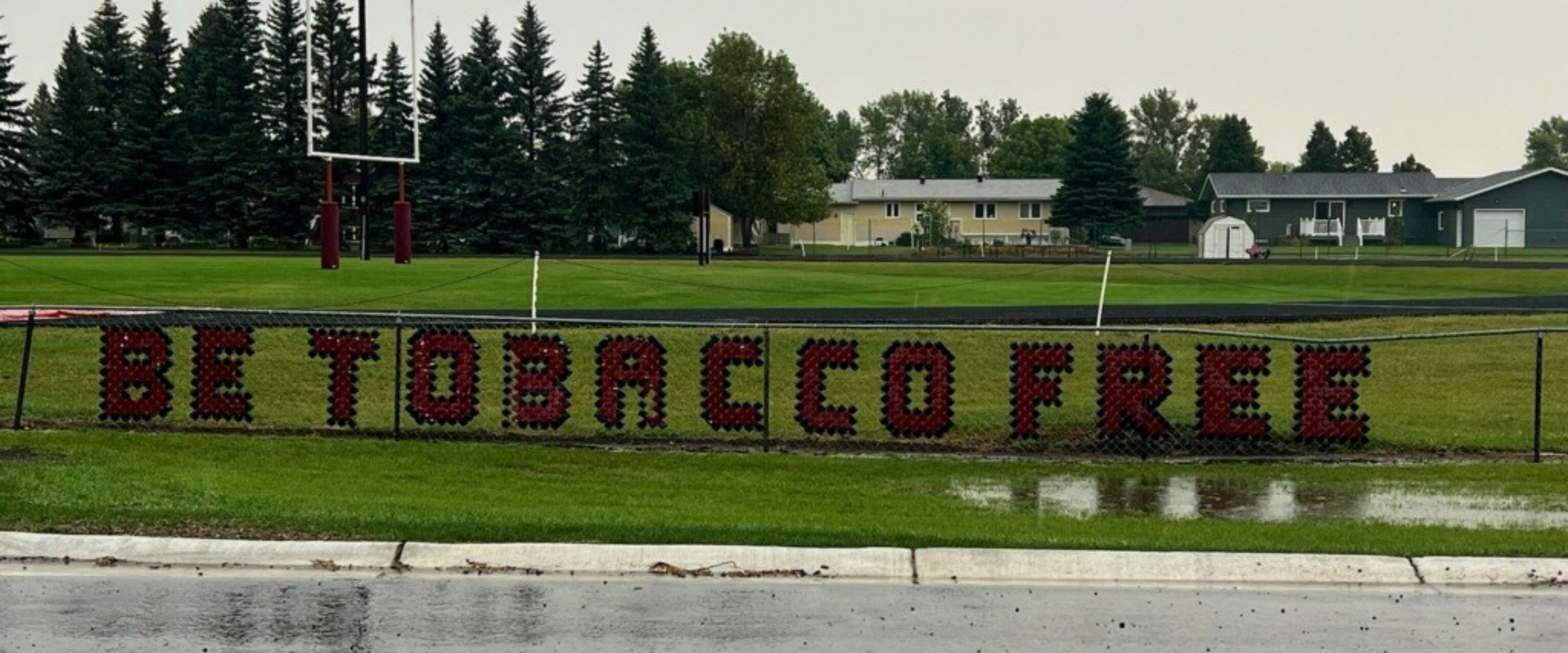 Be Tobacco Free fence sign